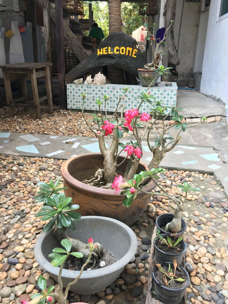 Фото Miss Hong House