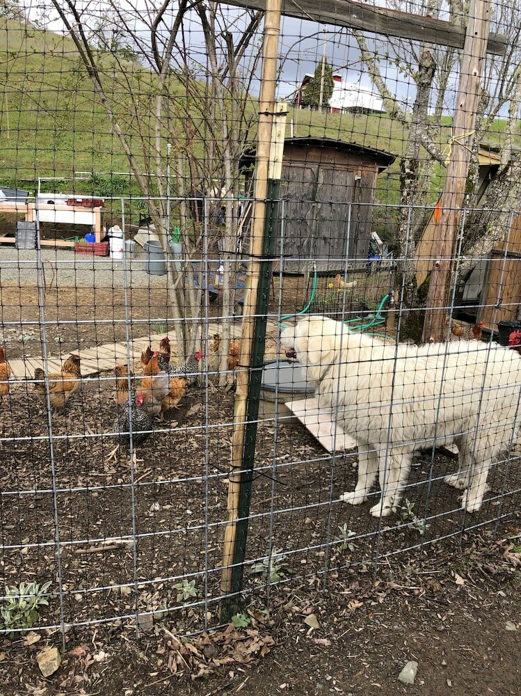 Фото Heartwood Mountain Sanctuary