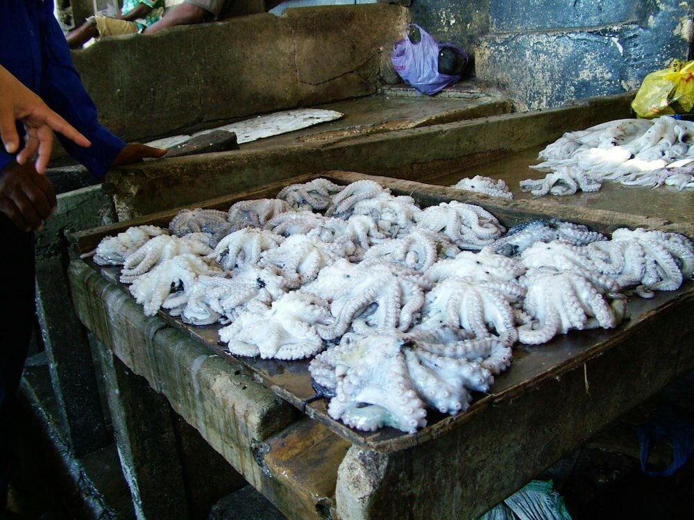 Фото Princess Salme Inn