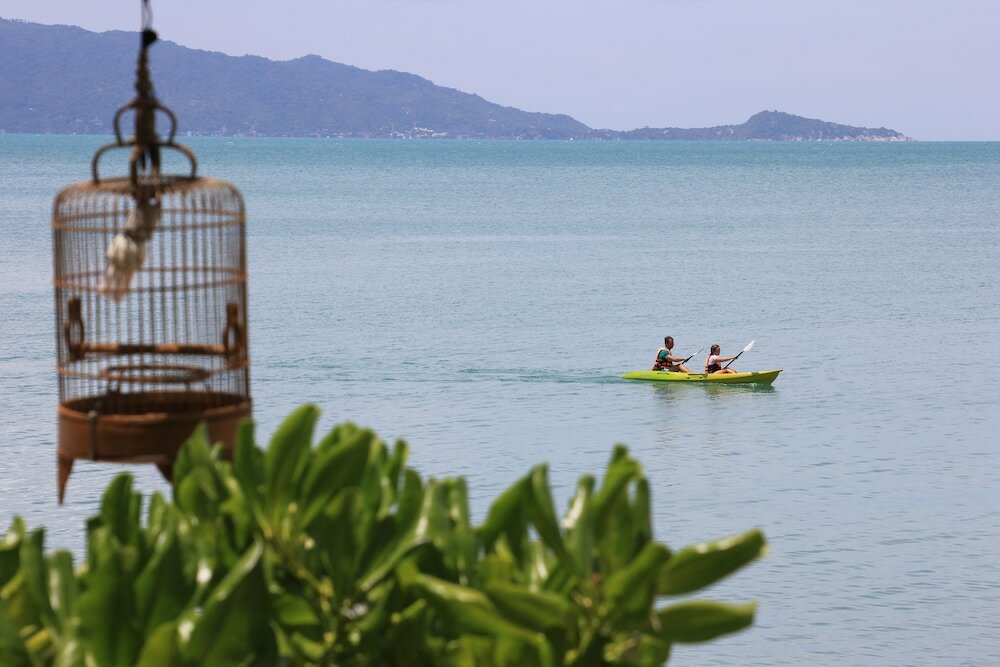 Фото Saree Samui