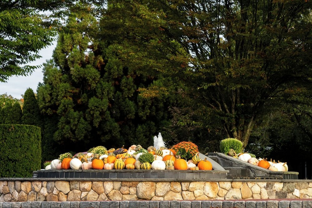 Фото Wequassett Resort and Golf Club