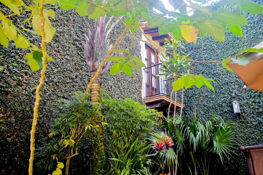 Фото Meson del Alferez Coatepec