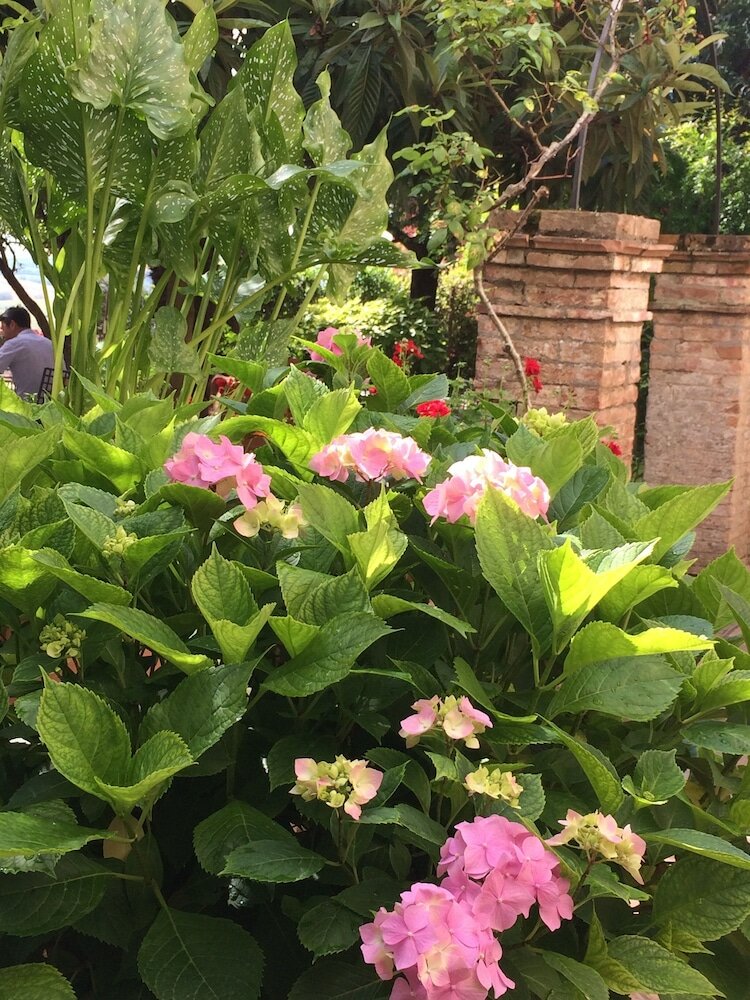 Фото Hotel Santa Caterina