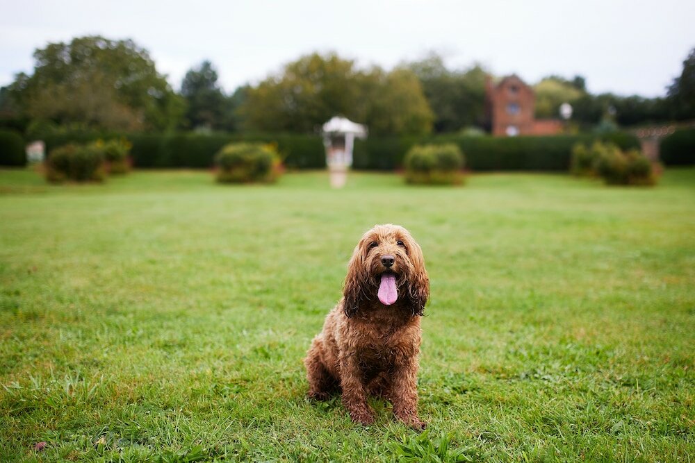 Фото Seckford Hall Hotel & SPA
