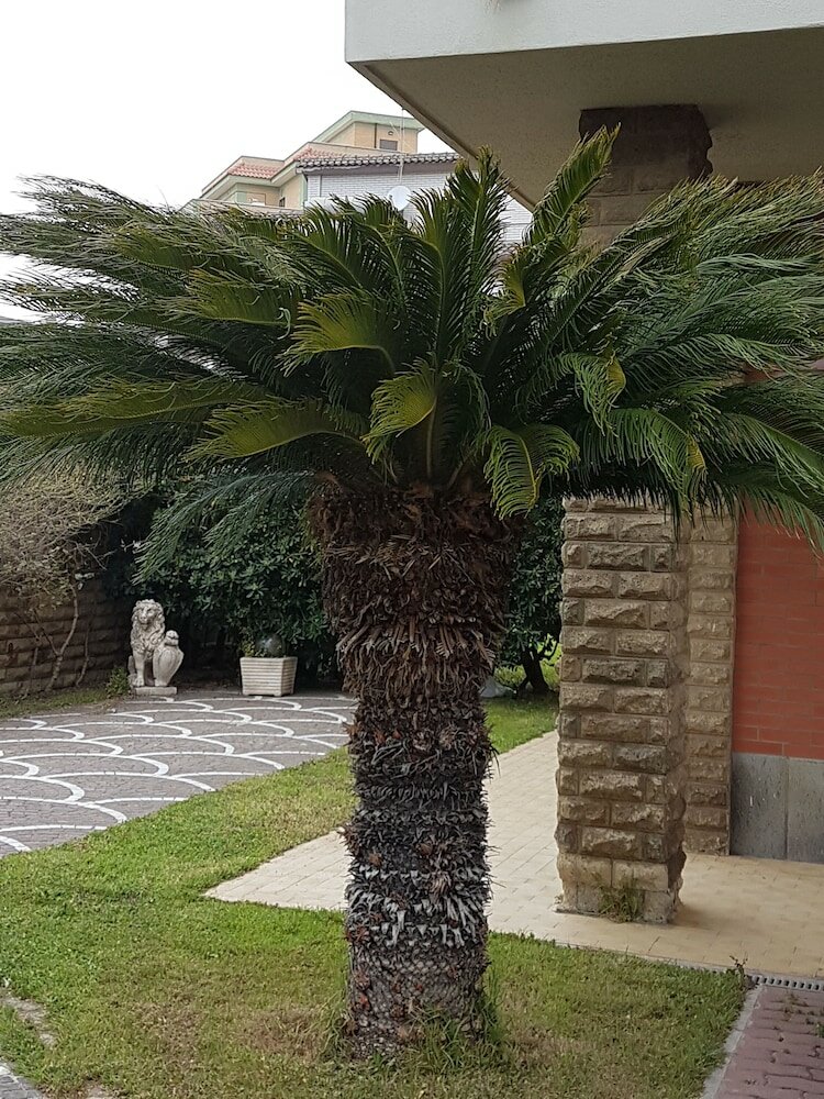 Фото Myricae guest house - Fiumicino aeroporto