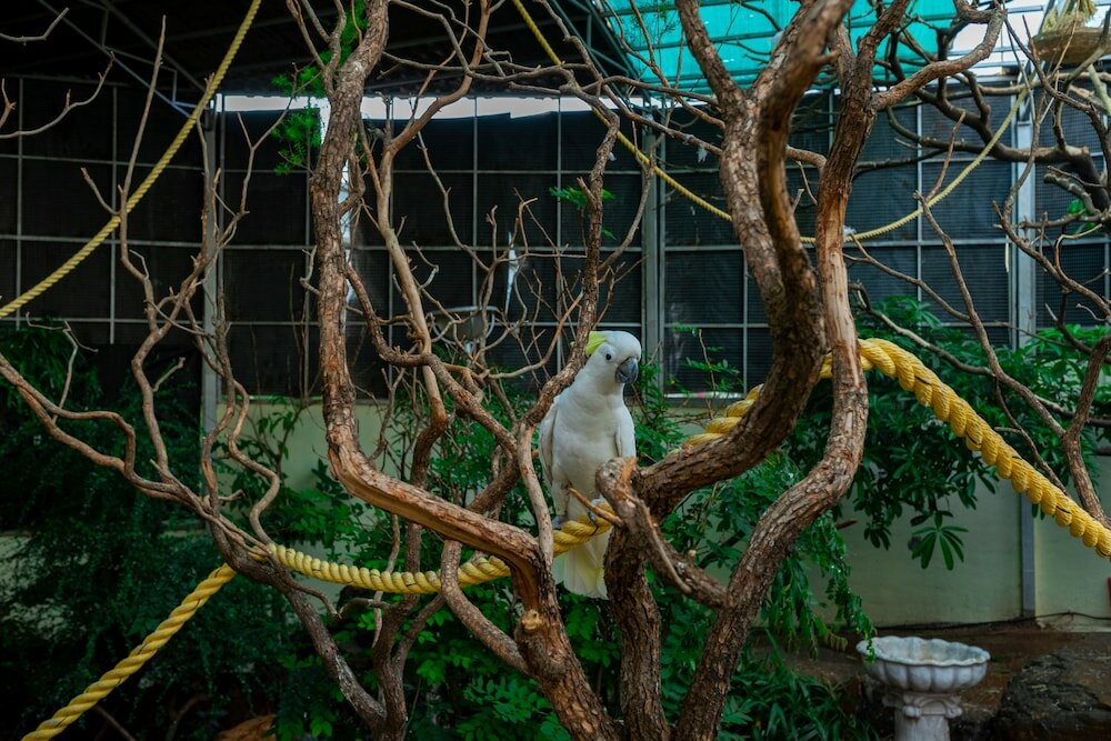 Фото Mystic Valley SPA Resort