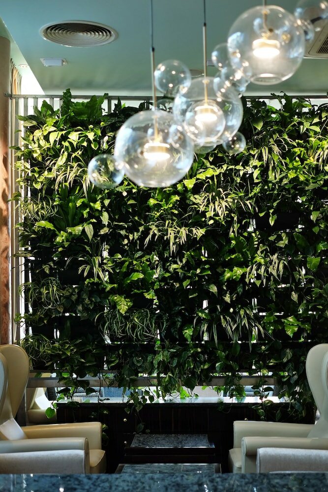 Фото Hotel Continental