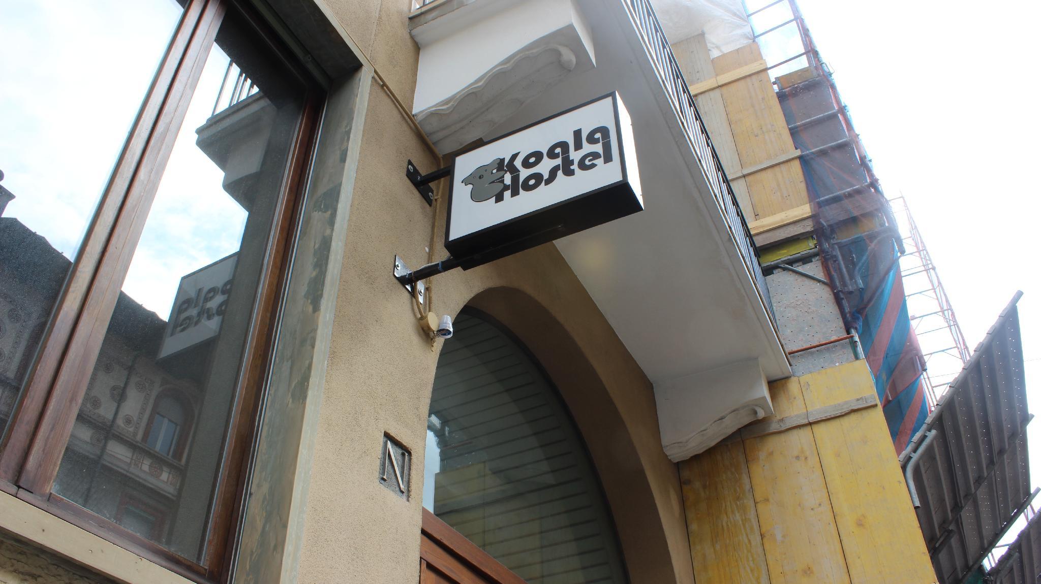 Фото Koala Hostel