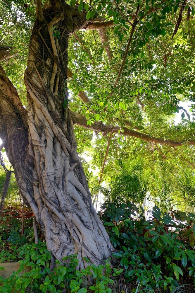 Фото C&d Hotel Fuzhou