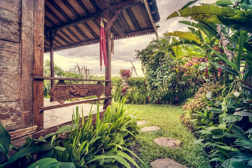 Фото Dragonfly Village