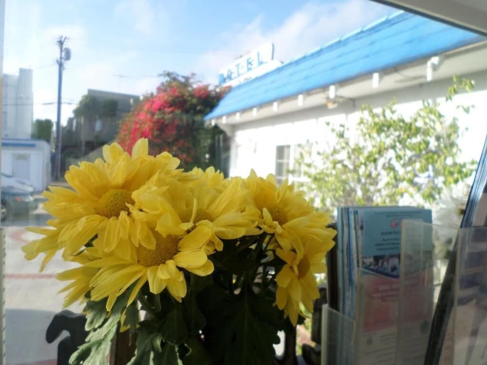 Фото Rest Haven Motel