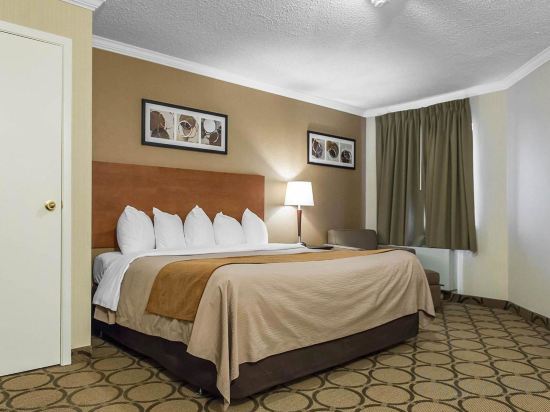 Фото Comfort Inn