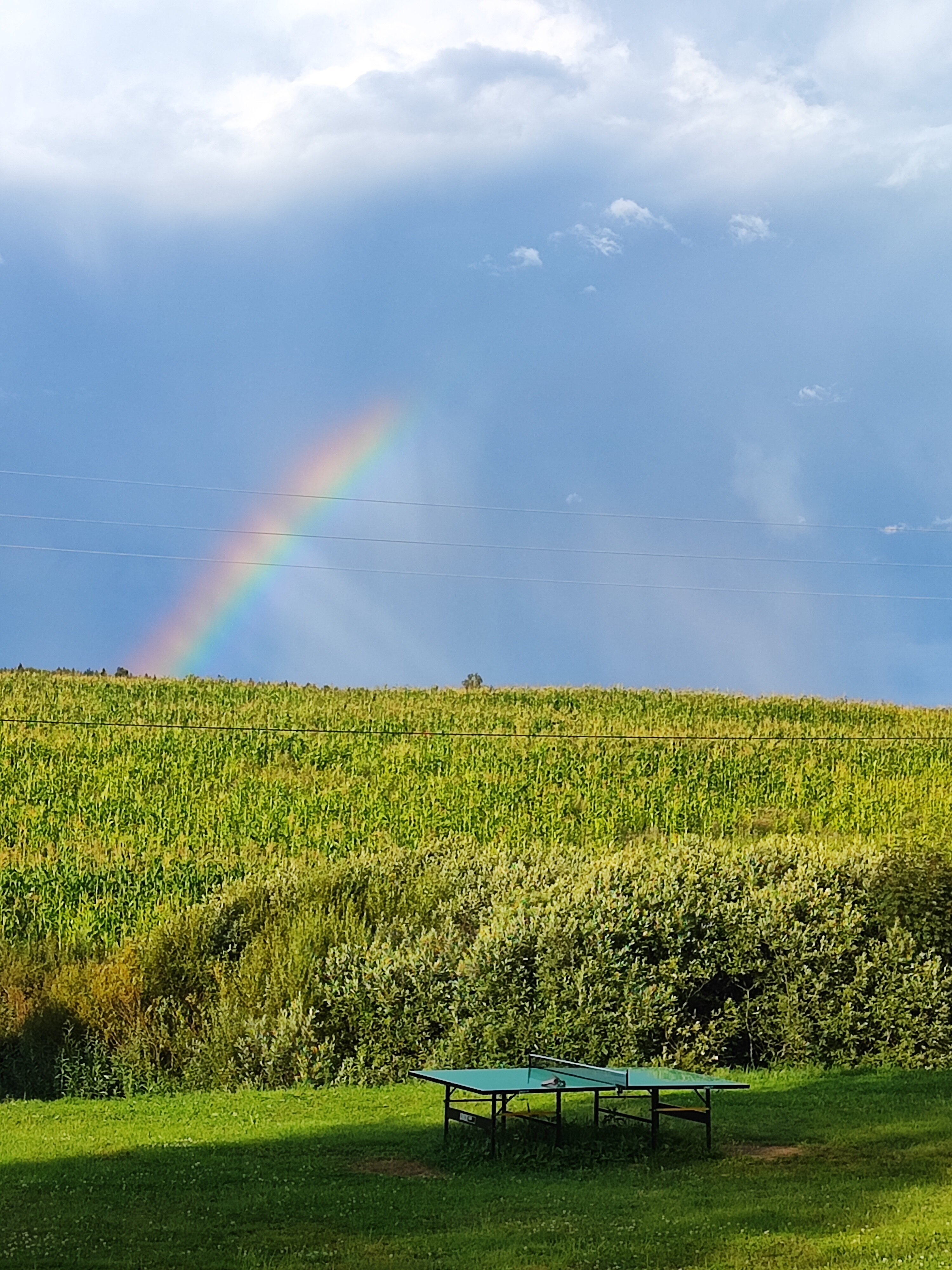 Фото Лукино-Парк