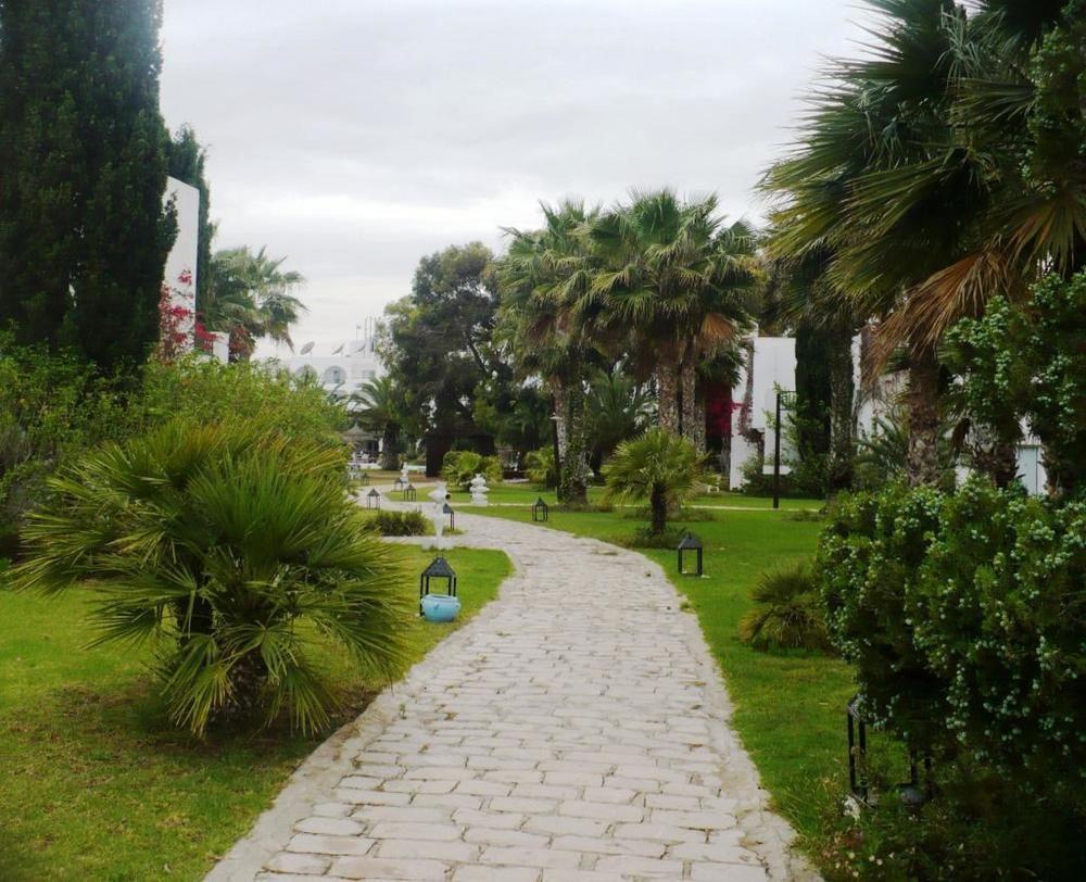 Фото Shalimar Hammamet