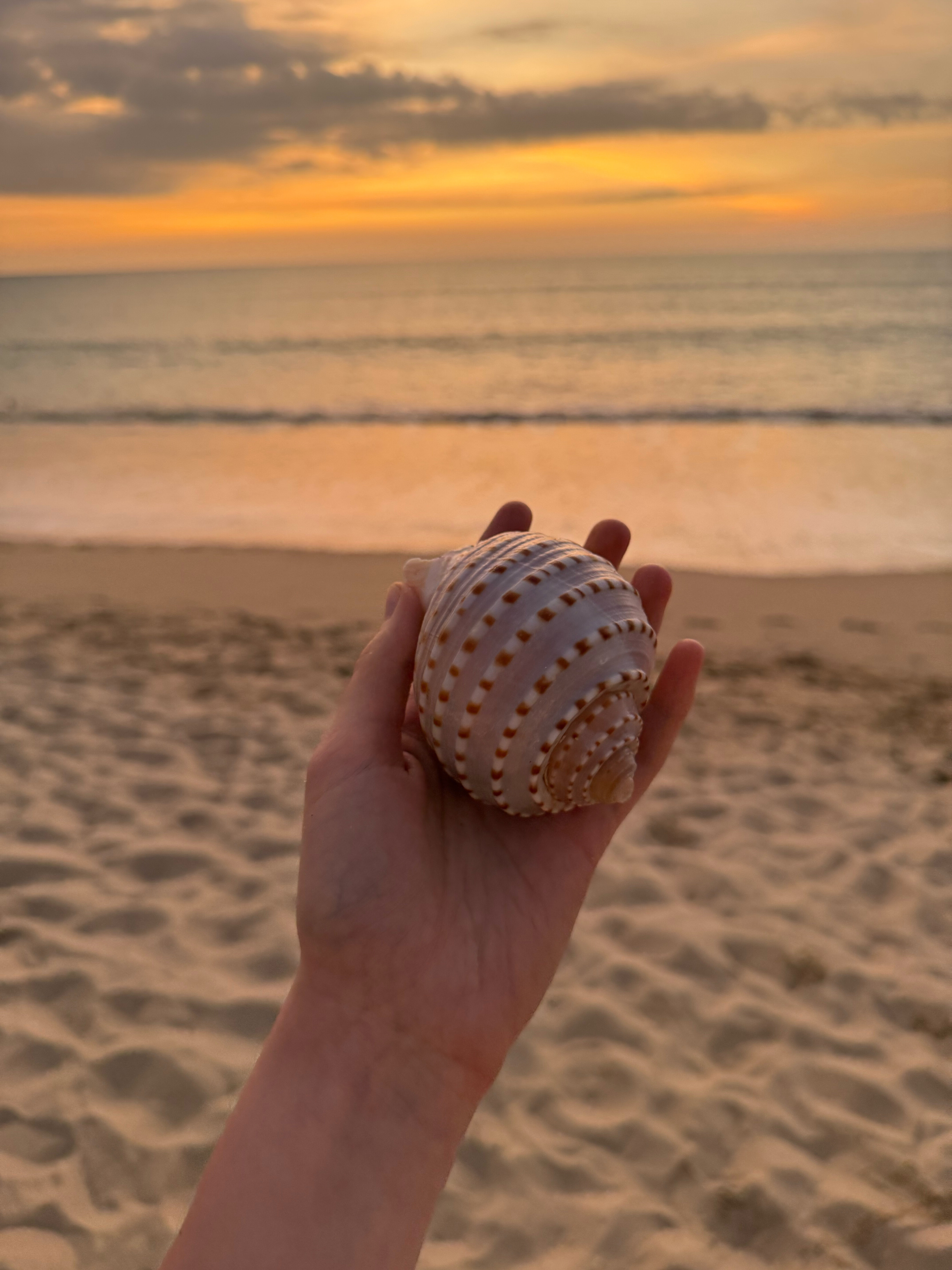 Фото Khao Lak Marriott Beach Resort & SPA