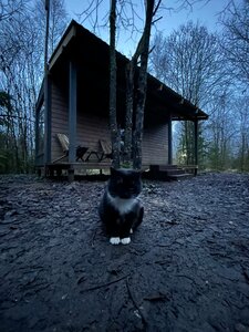 Легенда Алтая