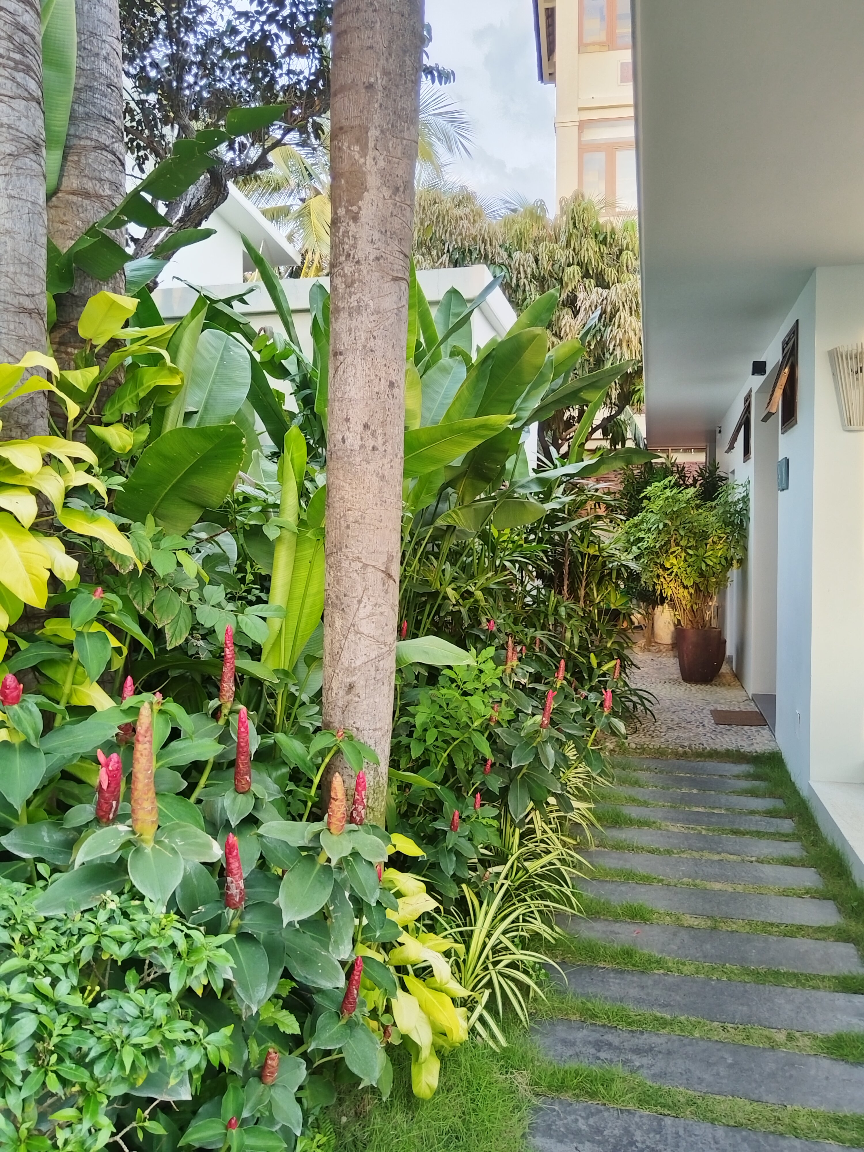 Фото Villa Aria Muine