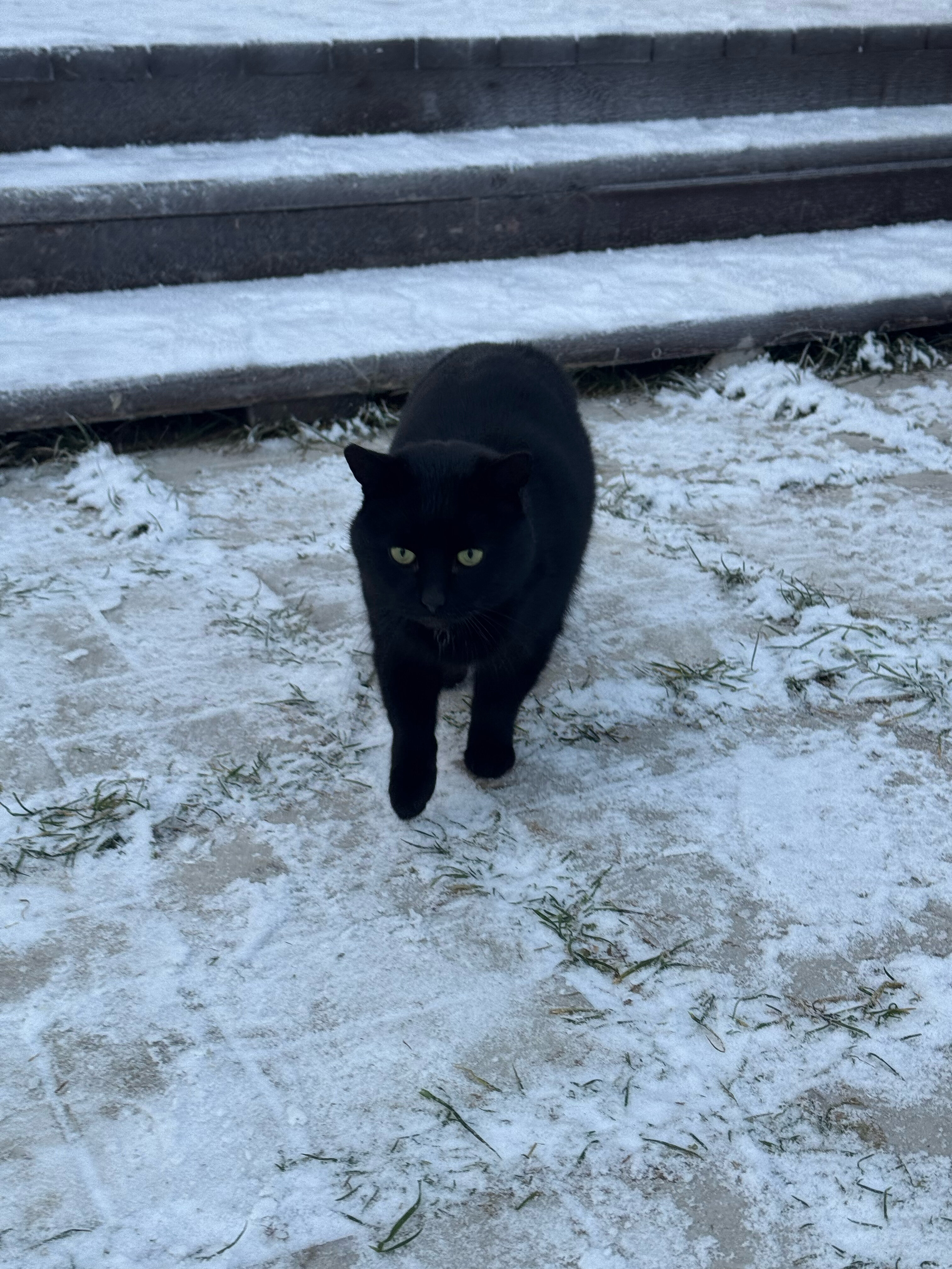 Фото Дача РяДом