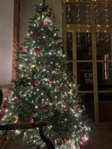 Хостел Два гуся в Коломне