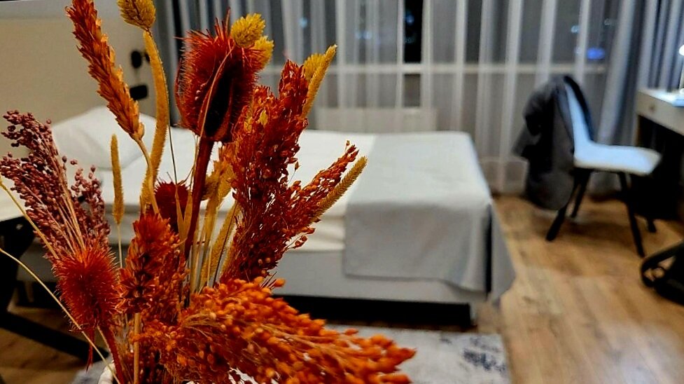 Фото Отель Реформа на Ладожском