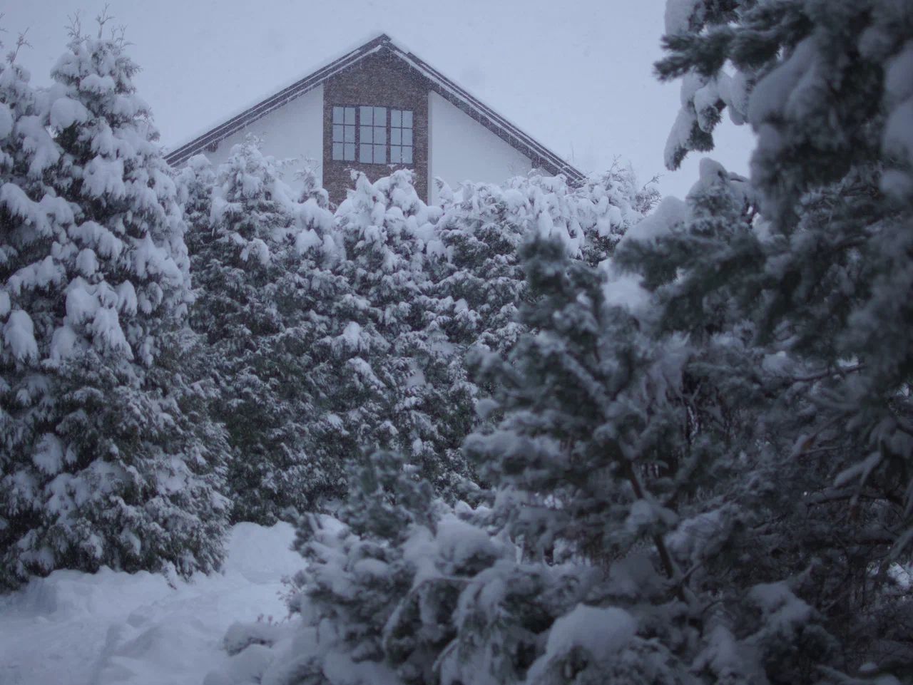 Фото Дони-парк