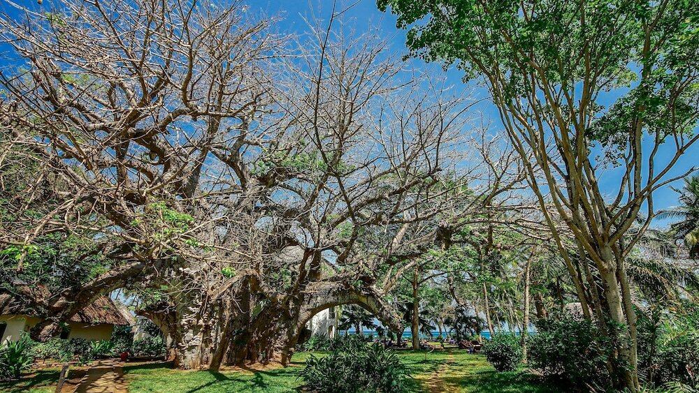 Фото Papillon Lagoon Reef
