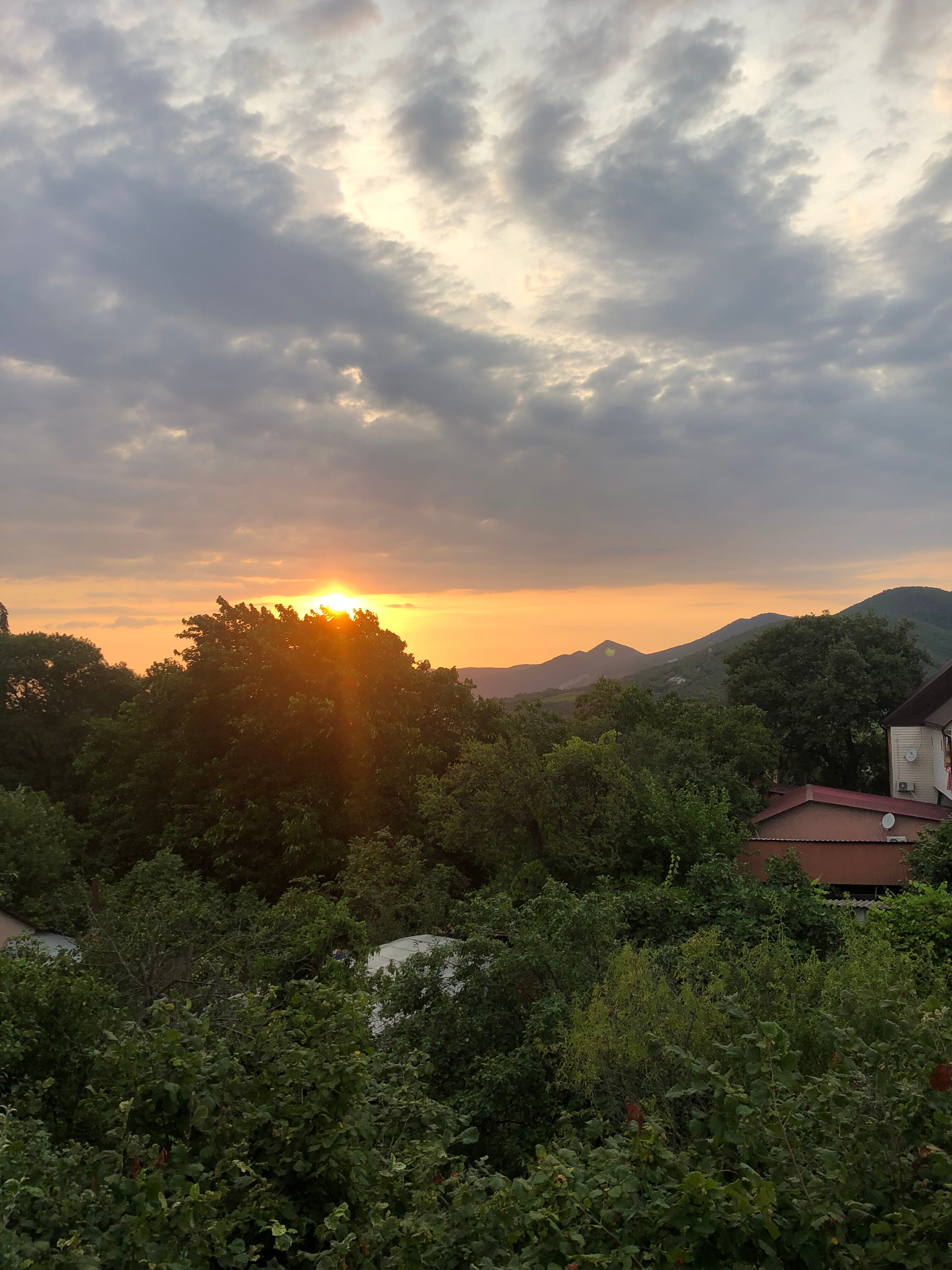 Фото Ласточкино гнездо