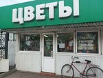 Белая роза (Tarasa Shevchenko Street, 65), flower shop