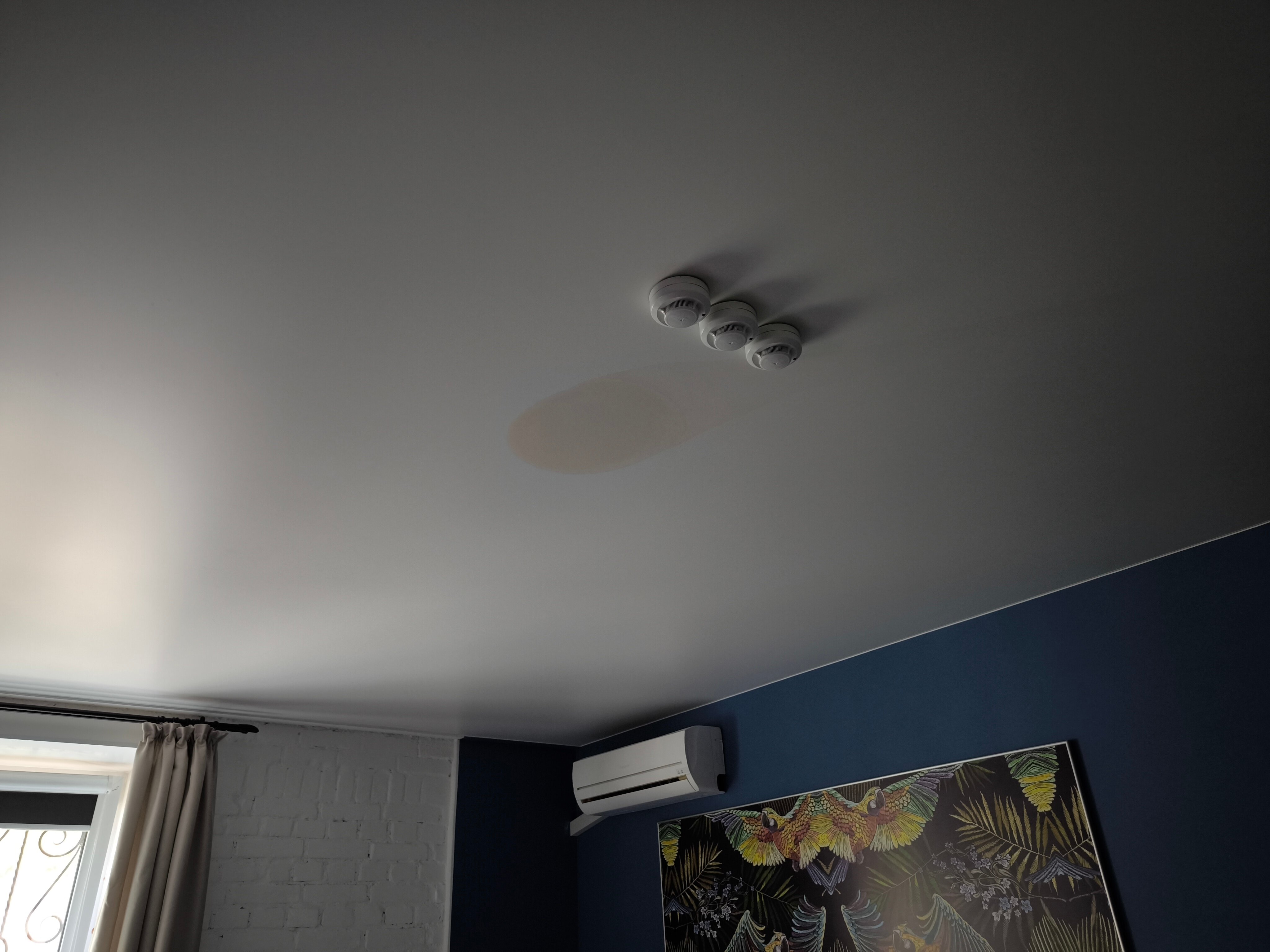 Фото Art Loft 24