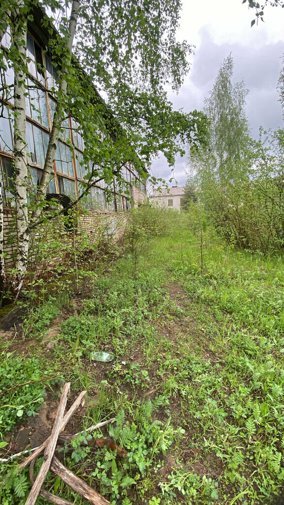 Education infrastructure СПбГУ, математико-механический факультет, Peterhof, photo
