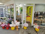 Цветы (Moskovskaya Street, 54/1), flower shop