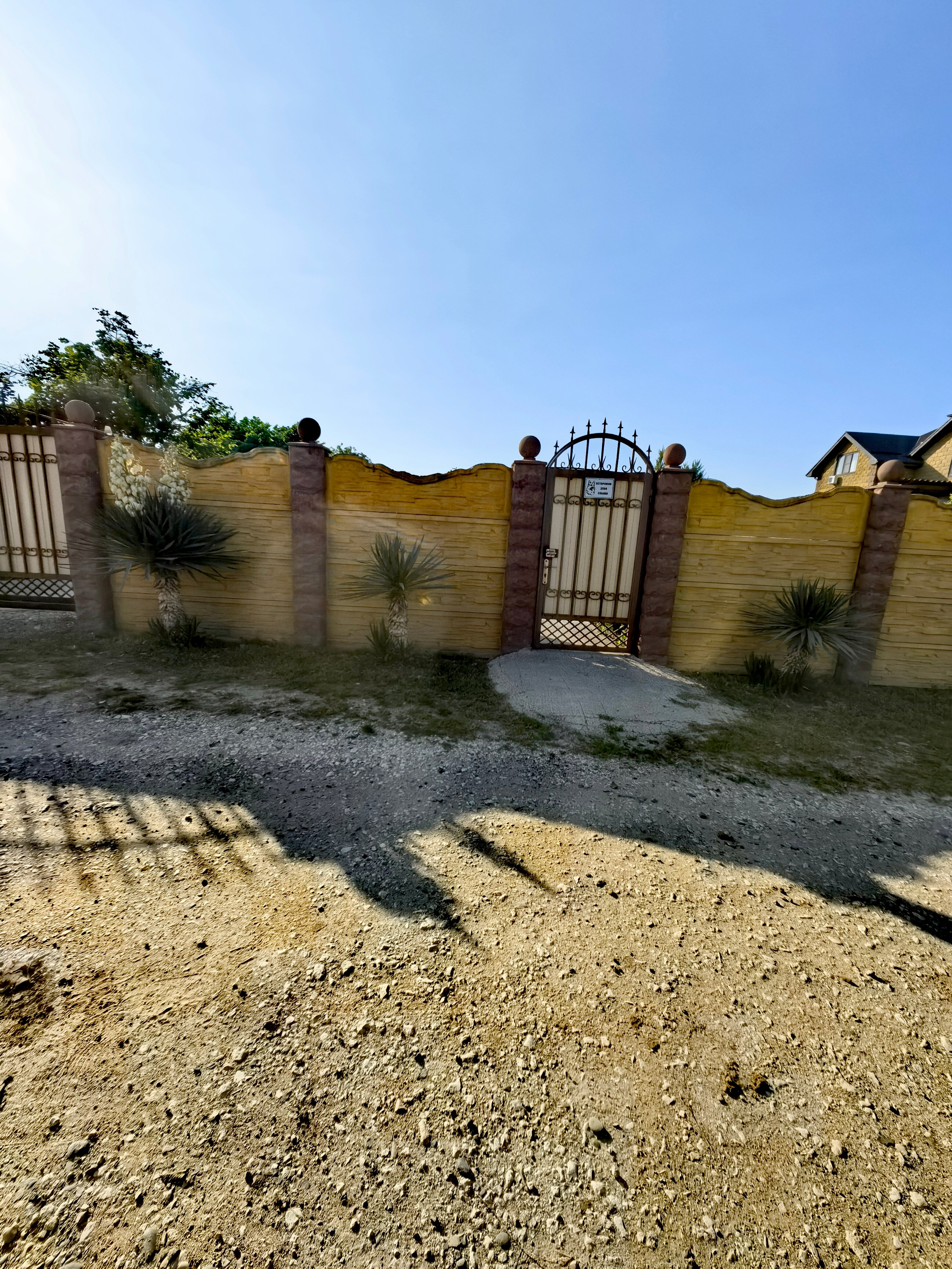 Фото Два Брата