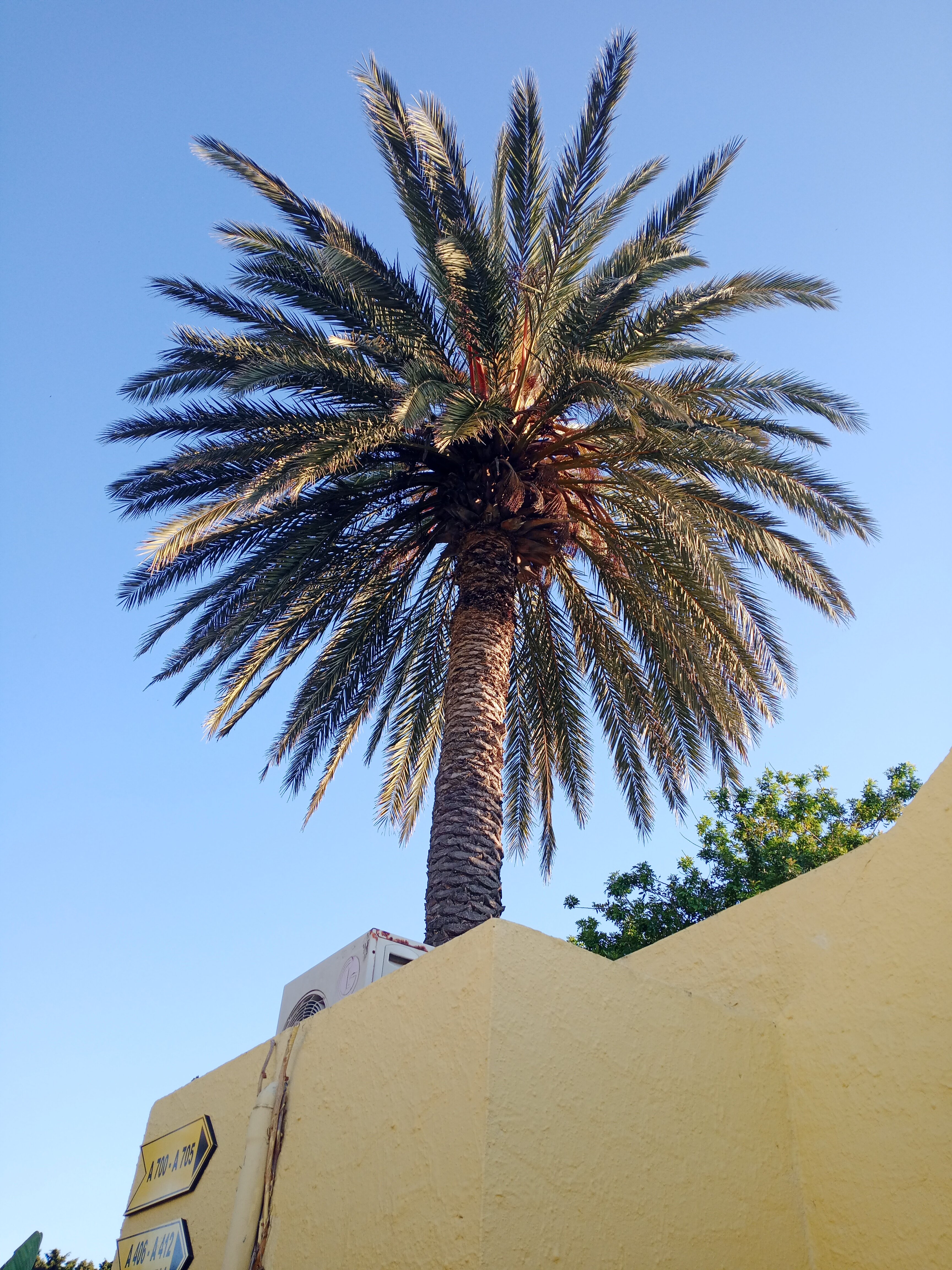 Фото Hotel Samira Club