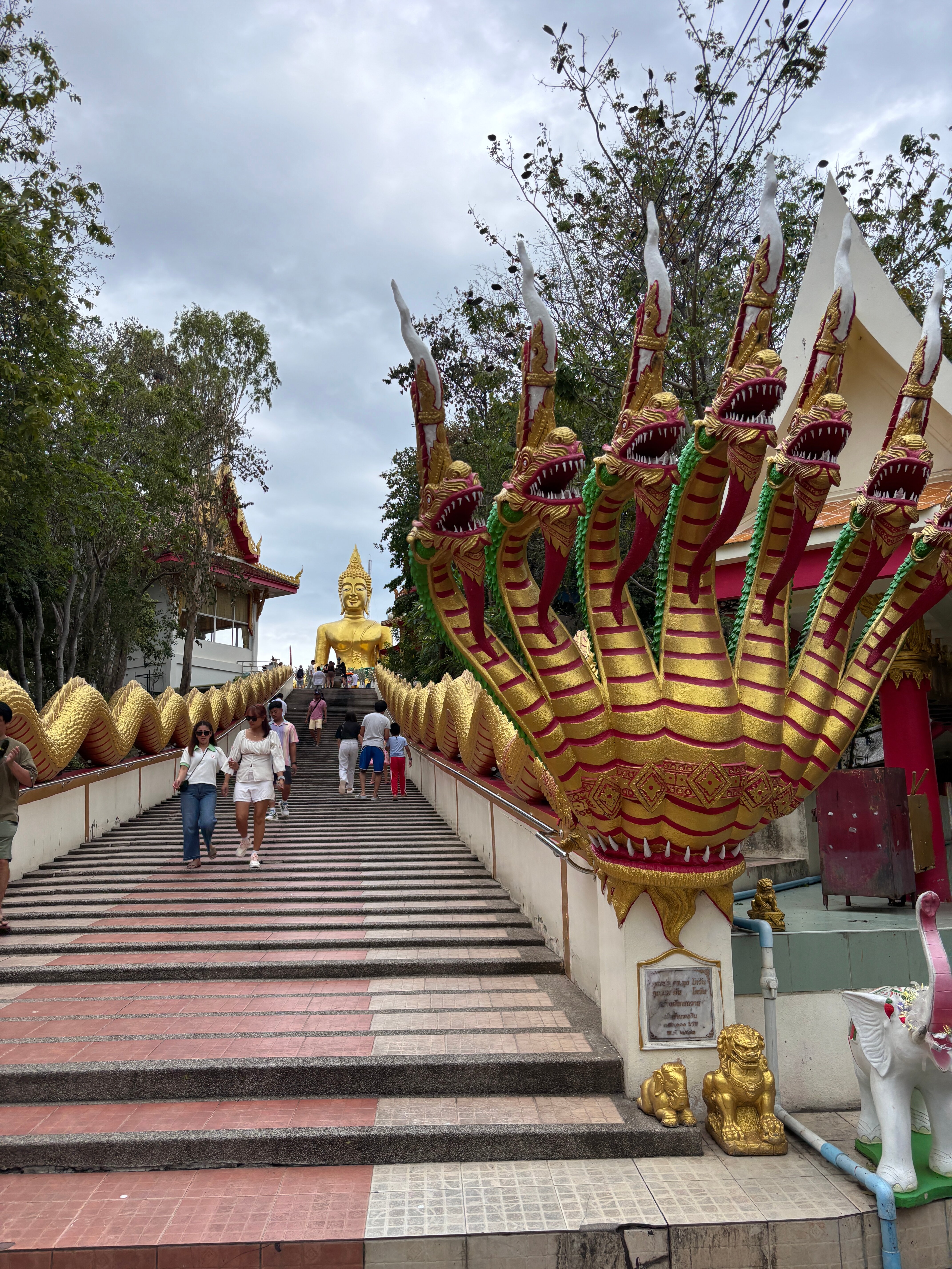 Фото Cosy Beach Hotel