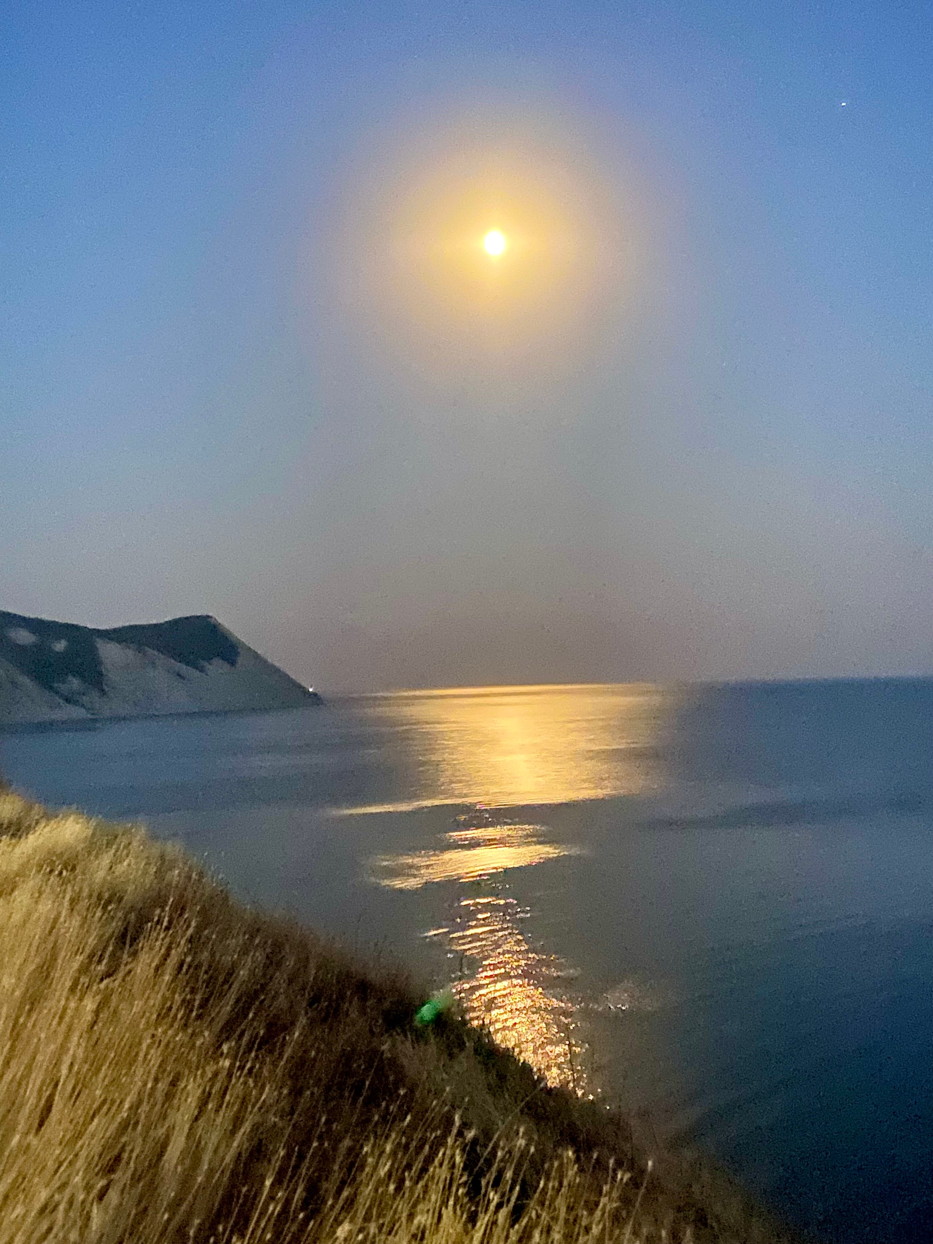 Фото Виколь