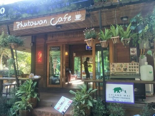 Гостиница Chiang Mai Elephant Friends