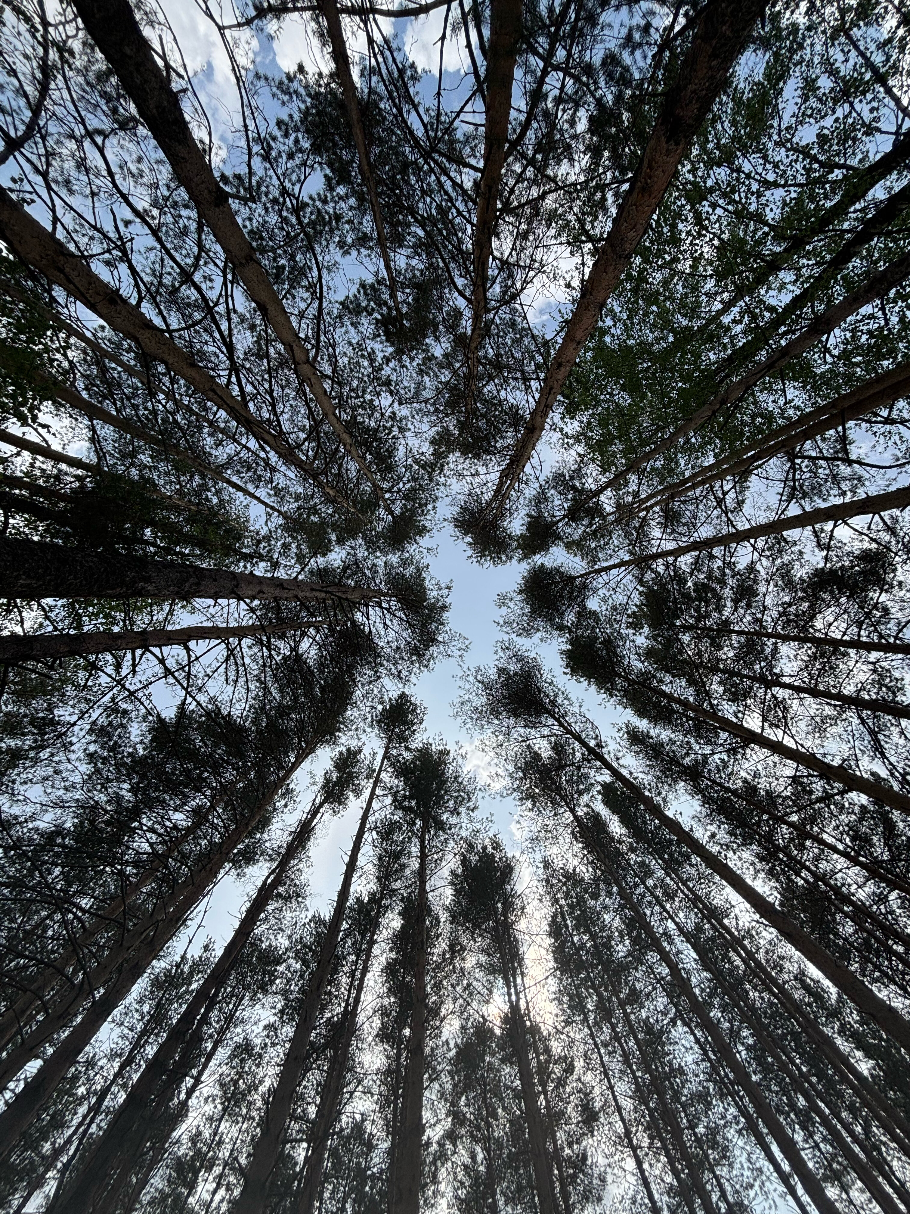 Фото Исаково