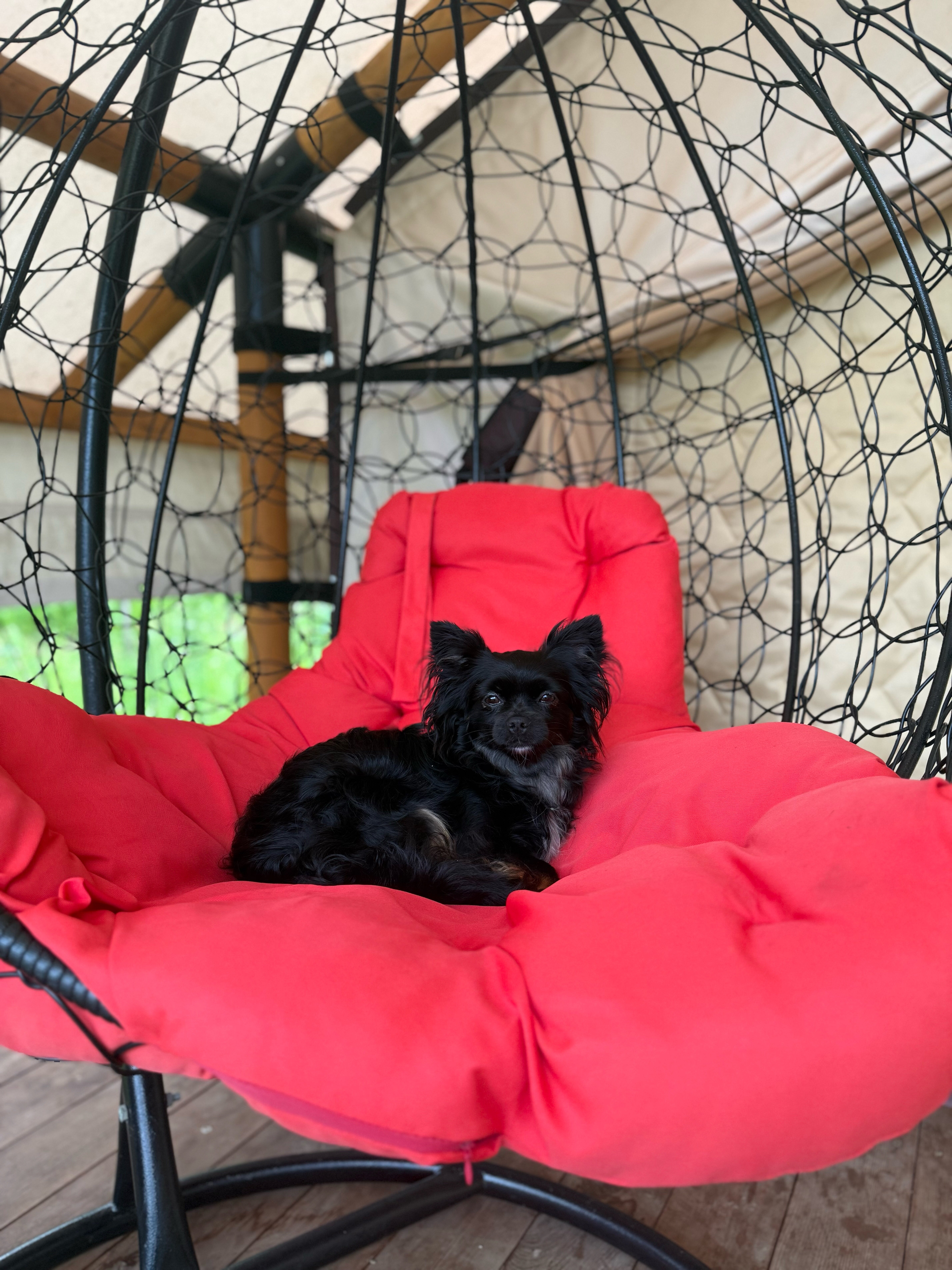 Фото Время гор