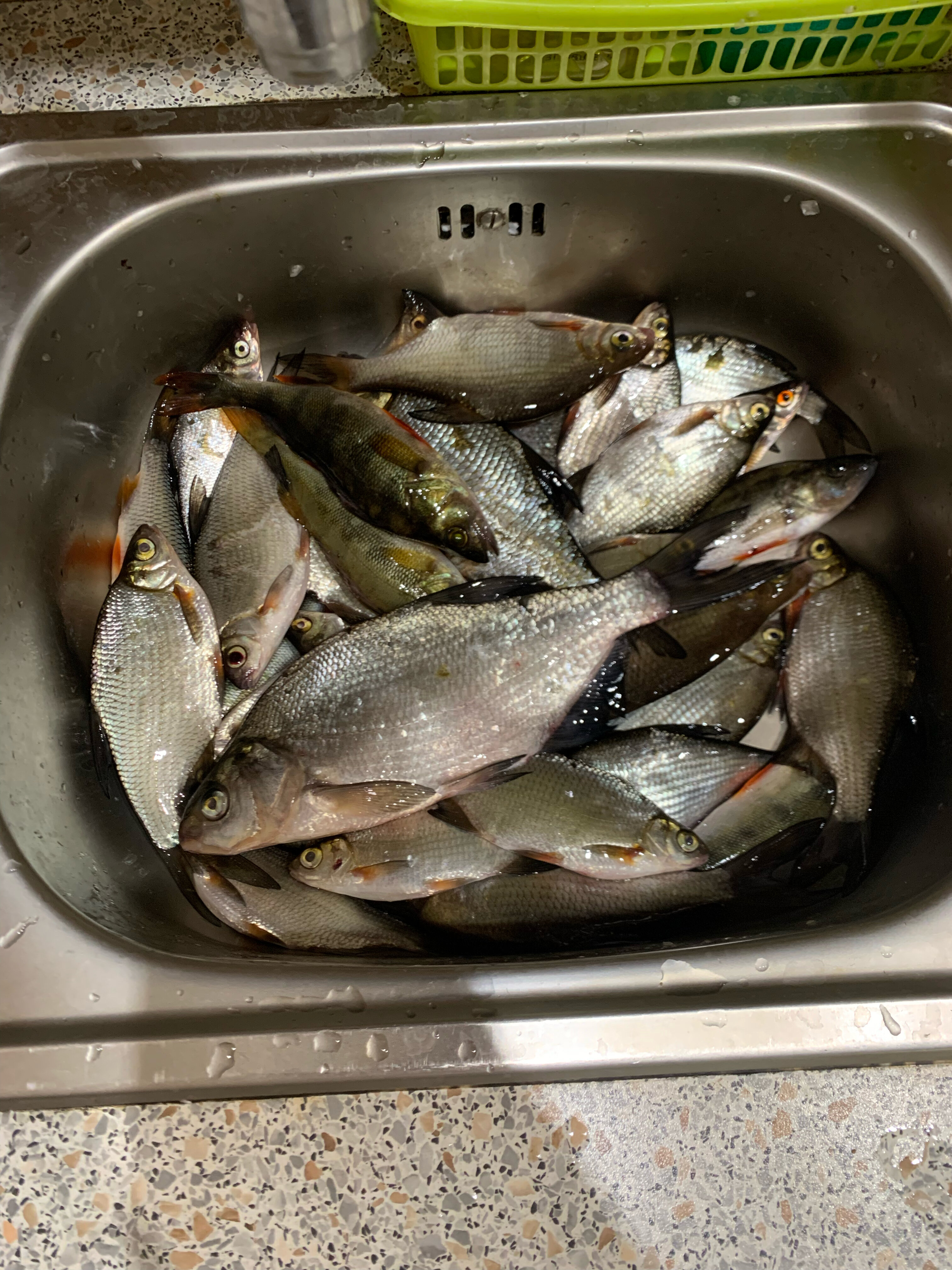 Фото Береговая