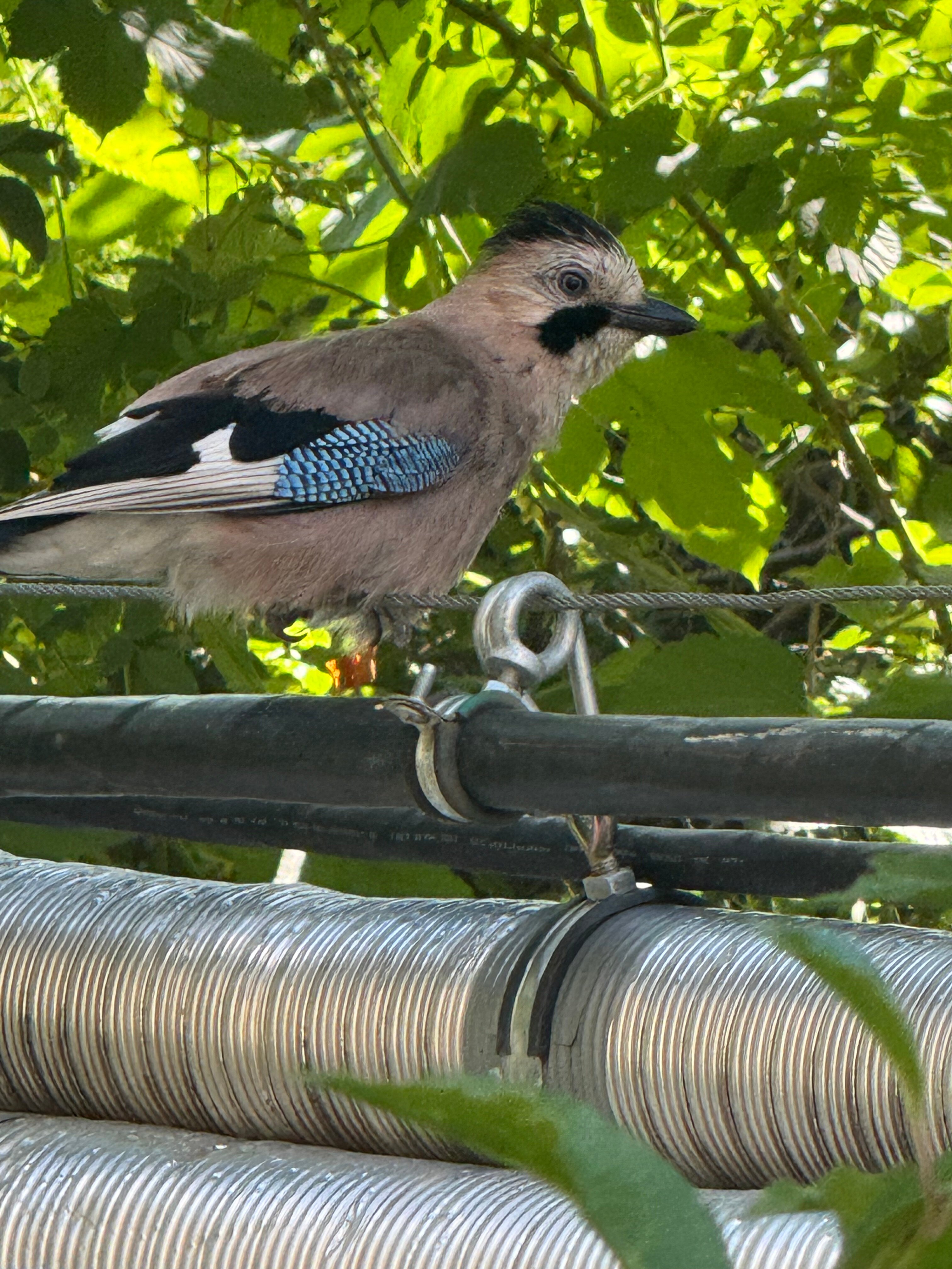 Фото Ахтынские бани № 1