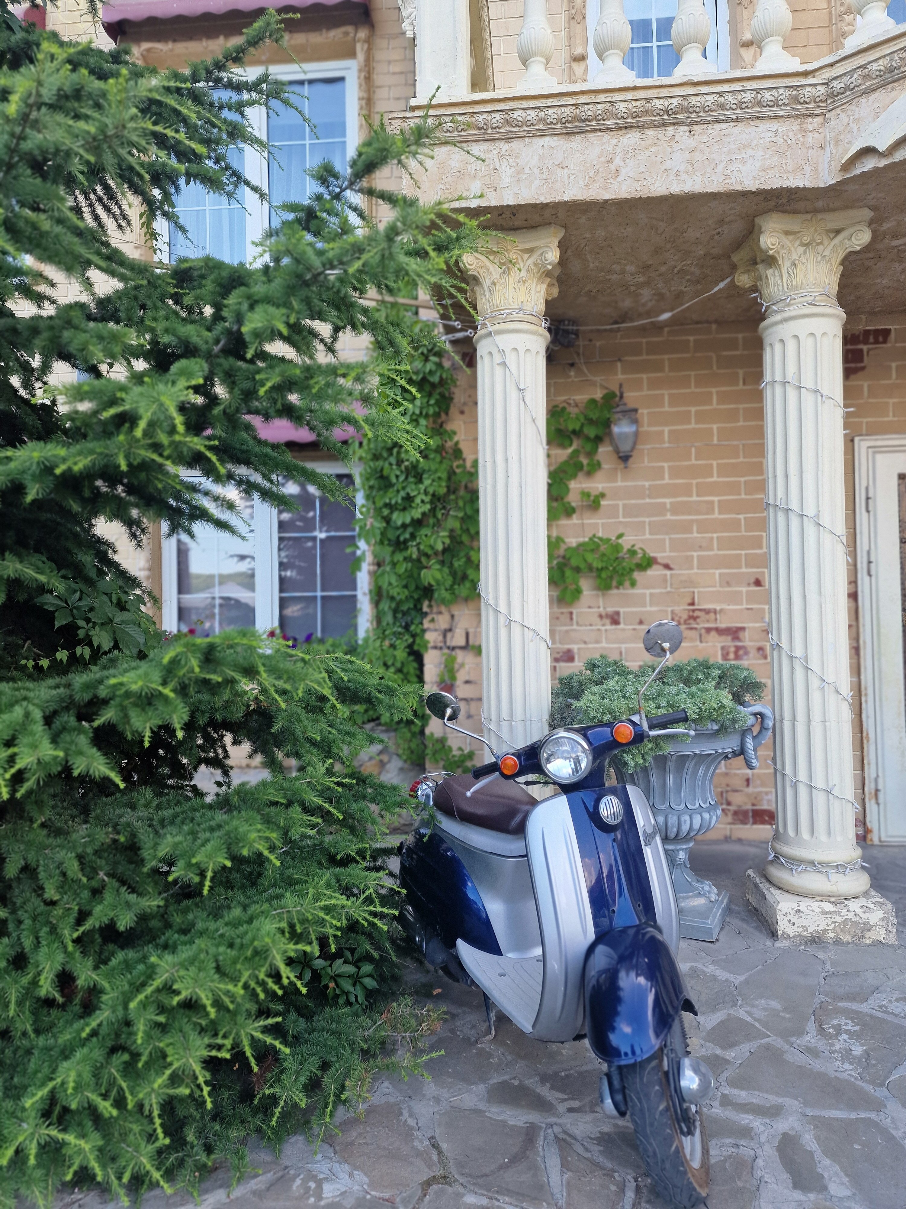 Фото Крылья