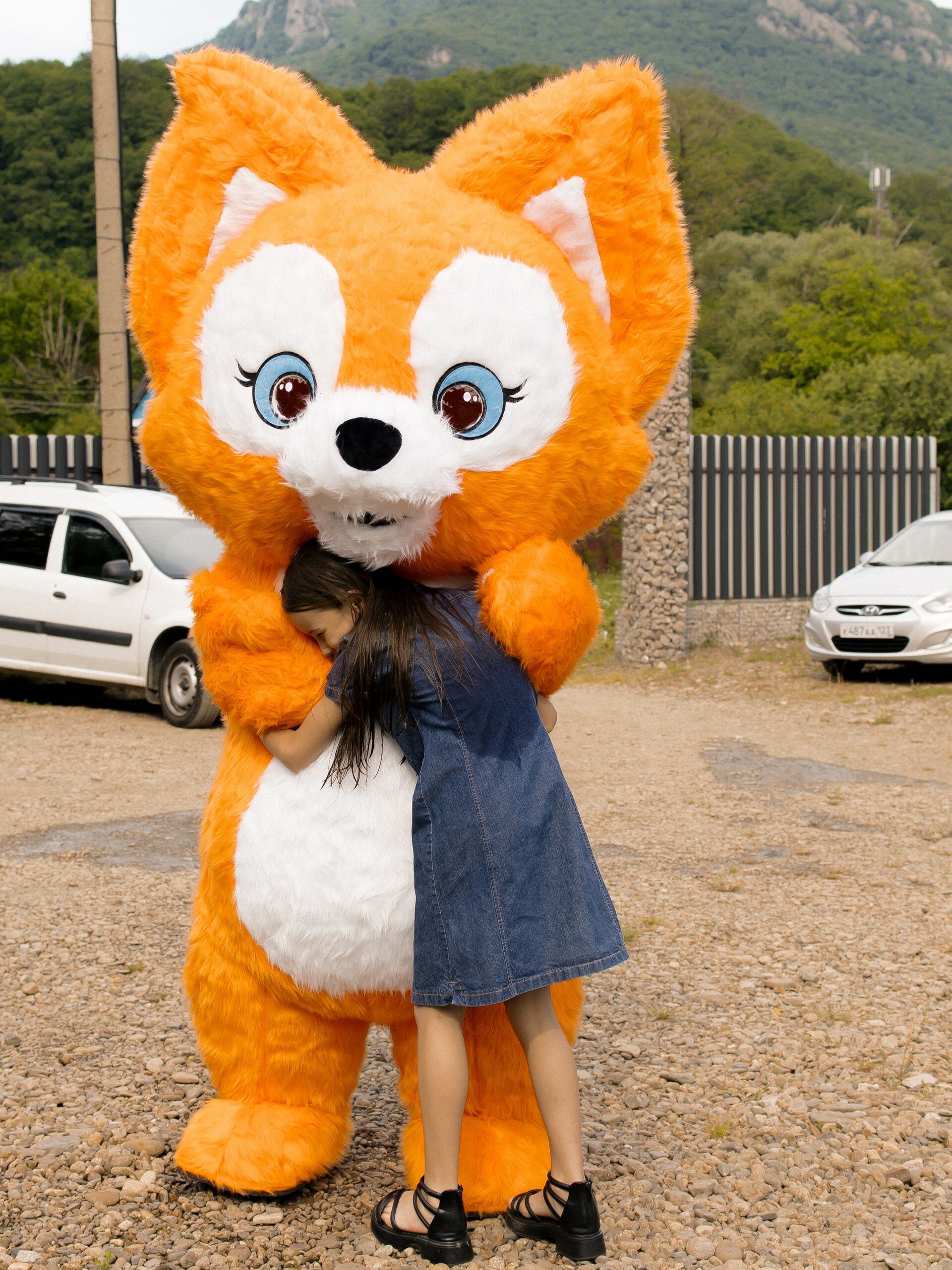 Фото Вершина