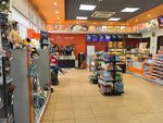 Drive Café (Dybenko Street, 9Ас1), cafe