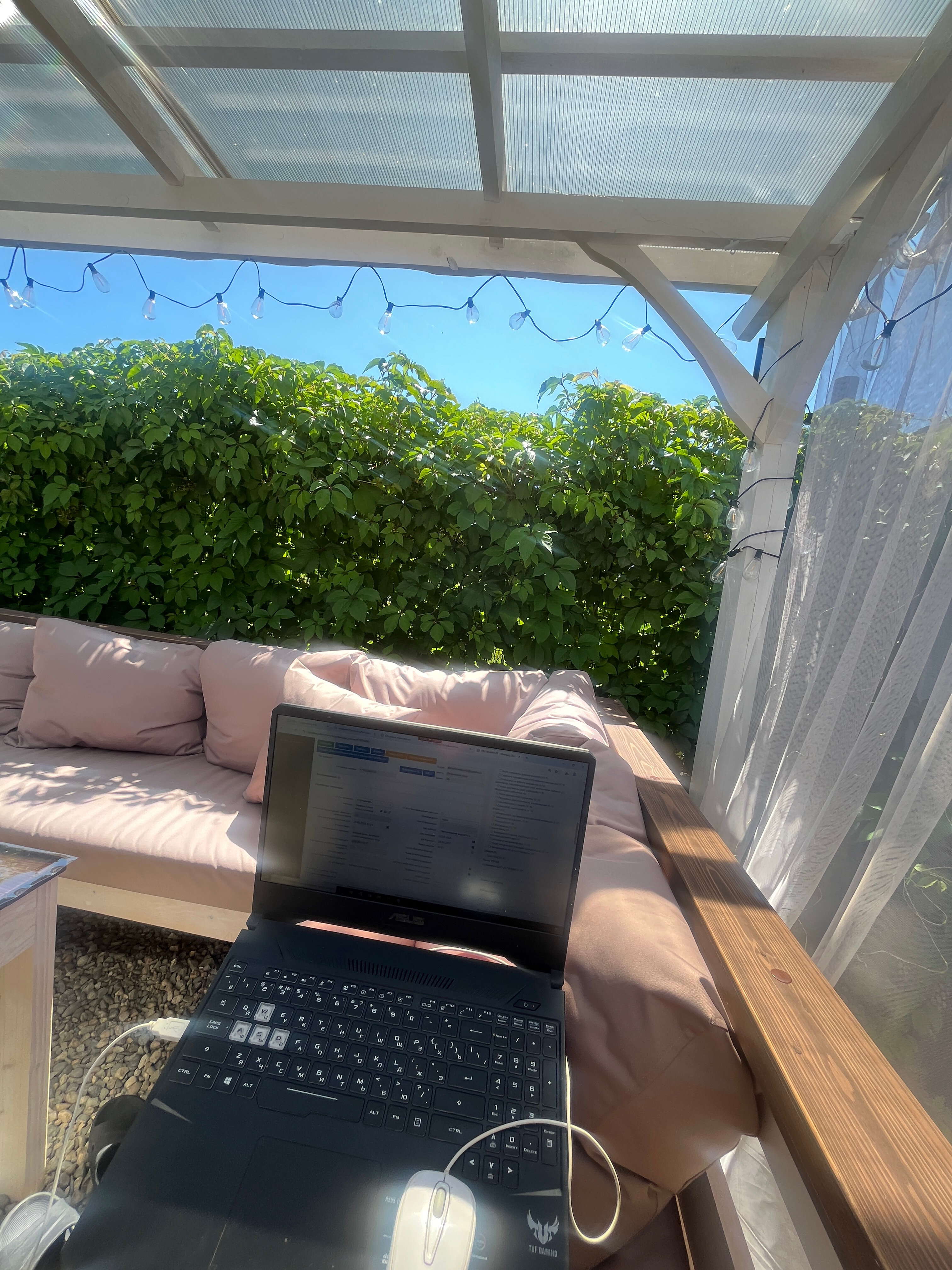 Фото Лаванда