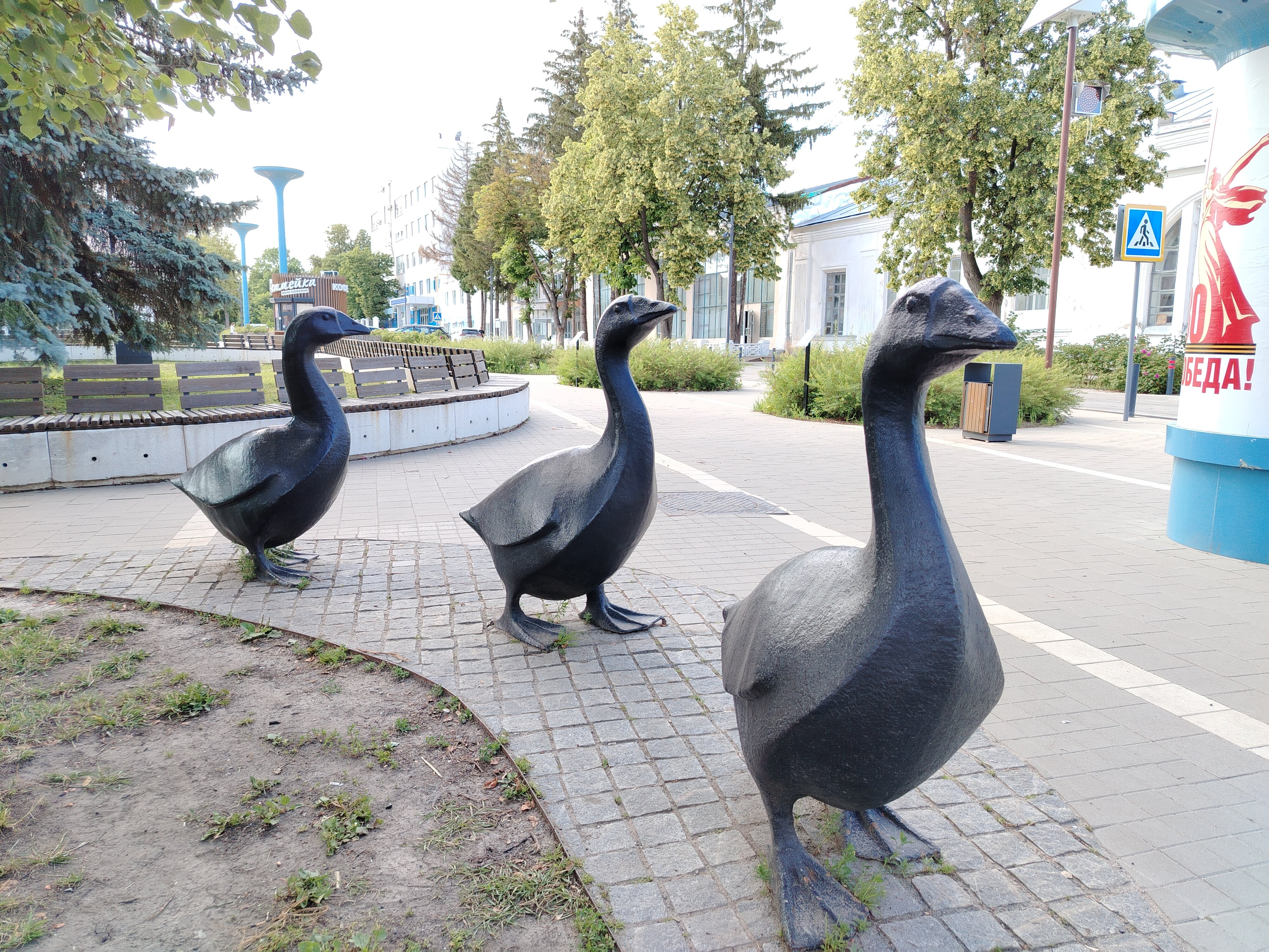 Фото Сальников