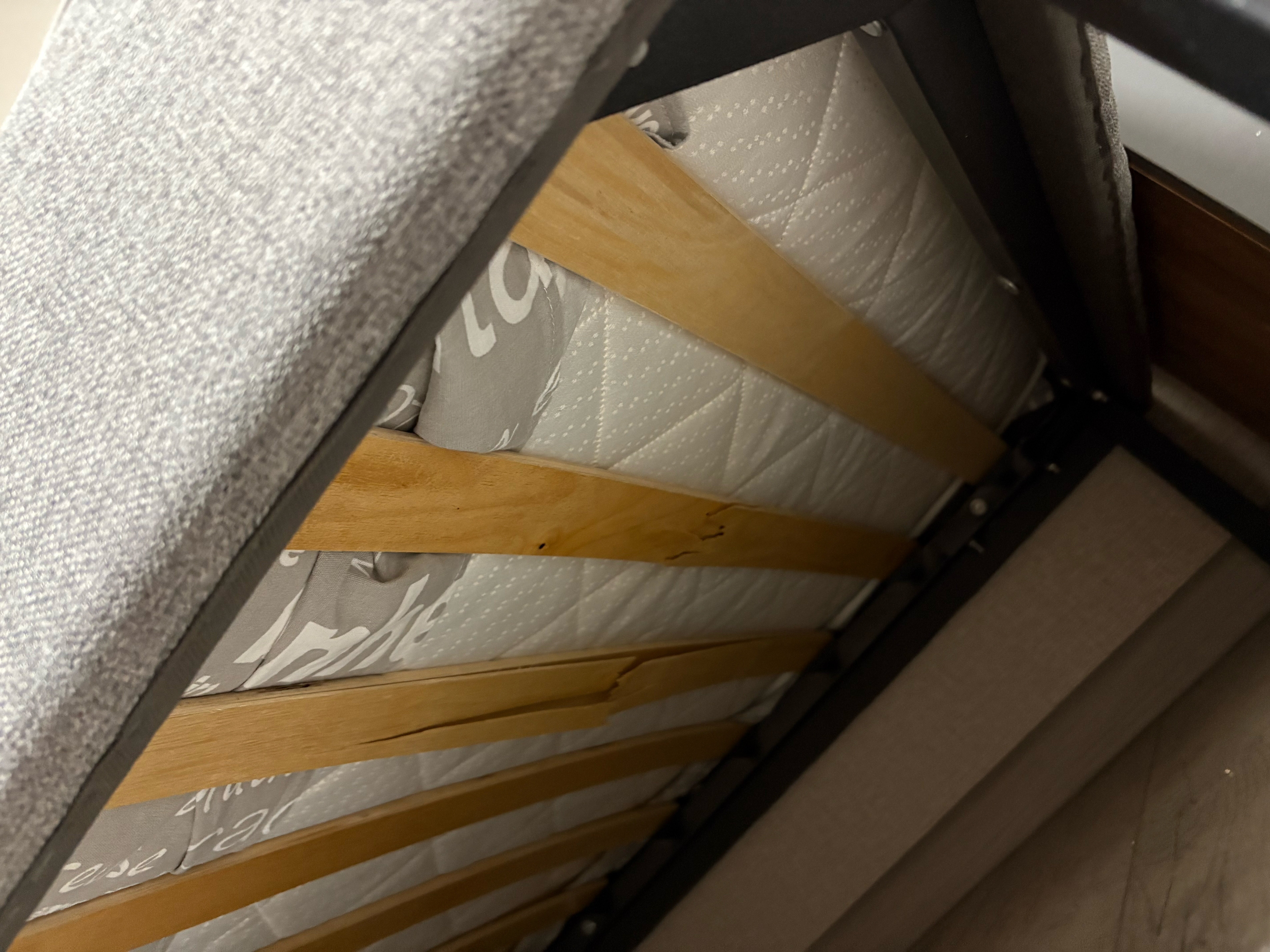 Фото Сандра