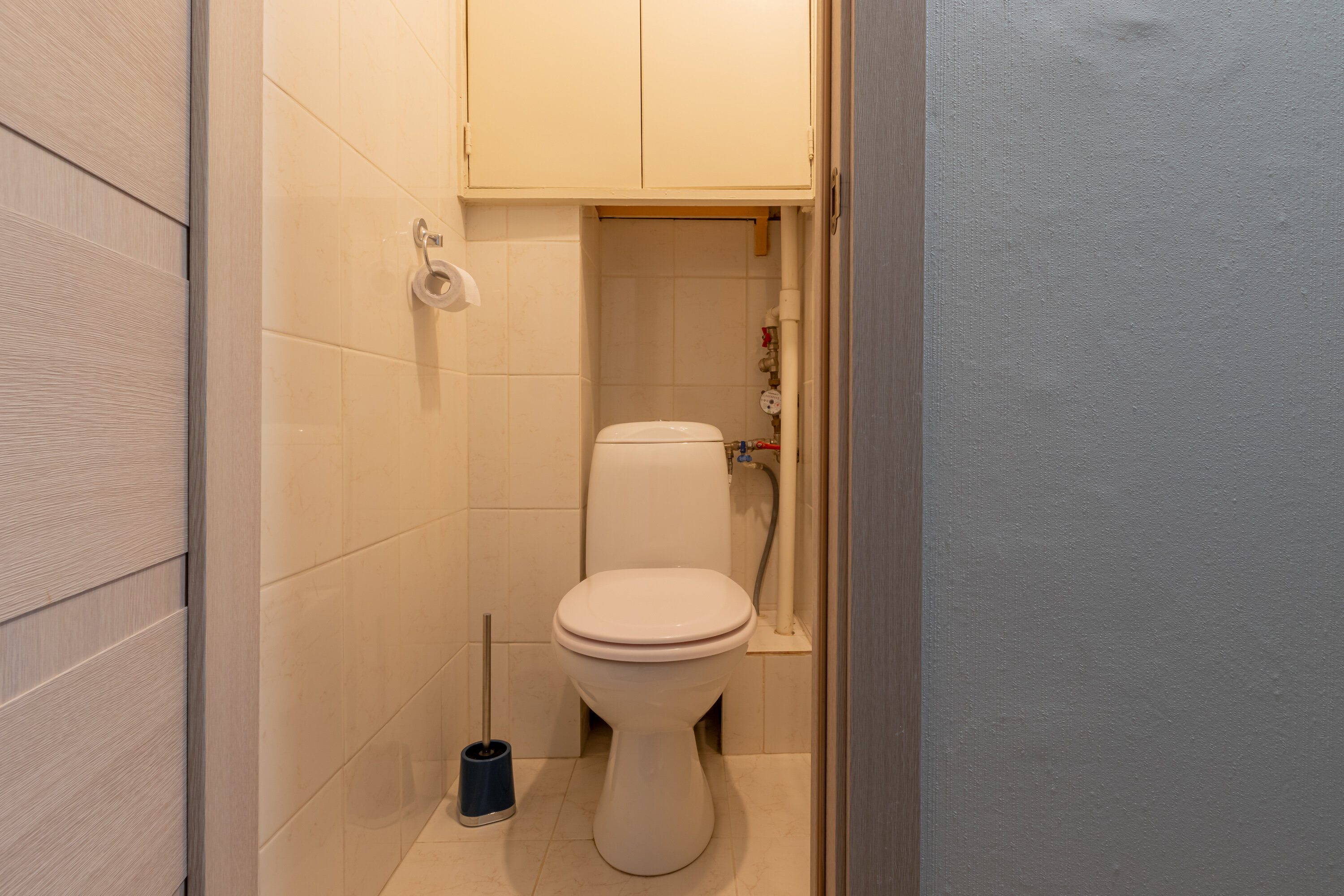 Фото Сканди