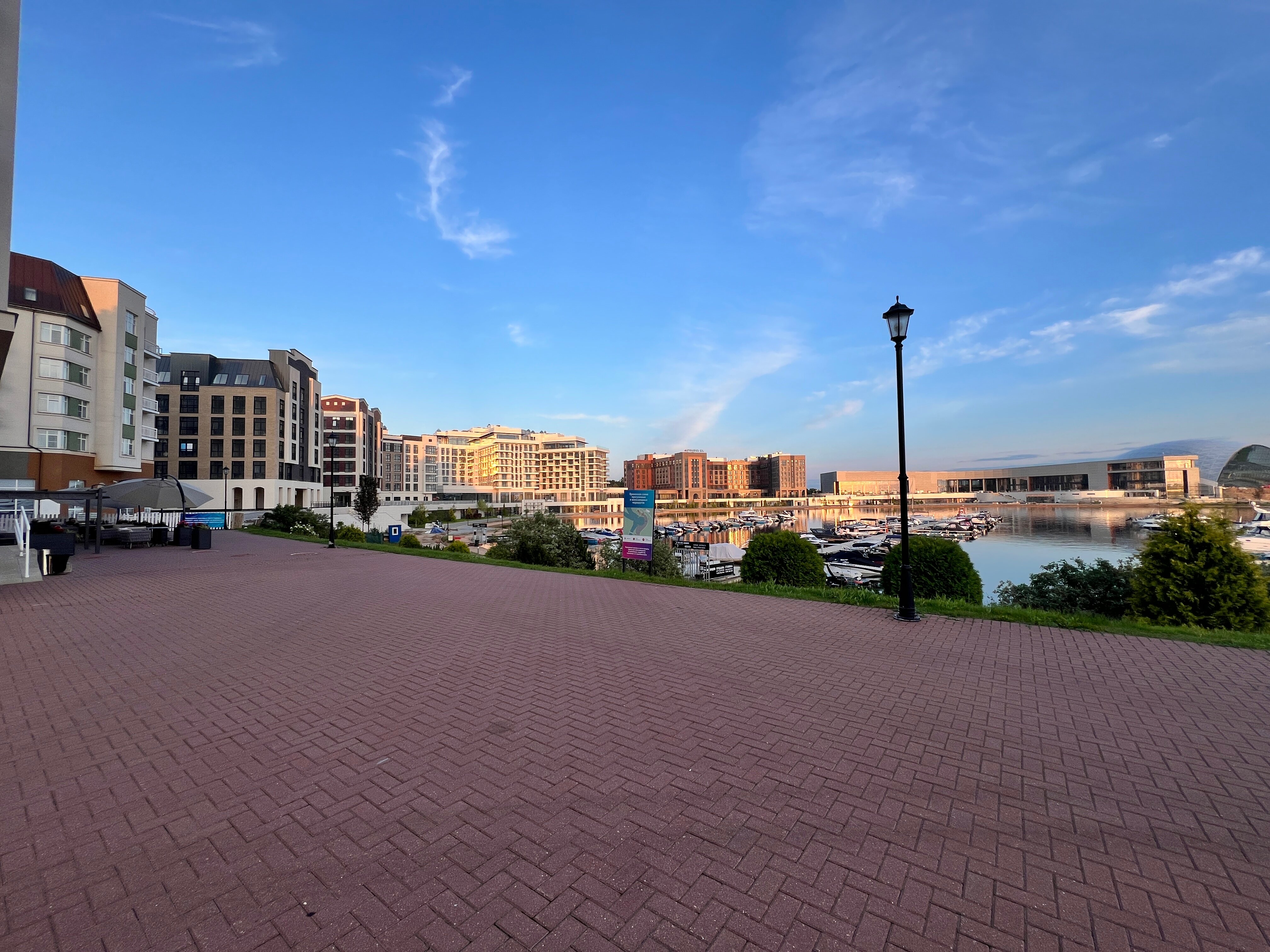 Фото Рябина от Васта