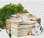 Ls Ecolife (Ermuhan Bekmahanov kóshesi, 94/3), purchase of recyclables