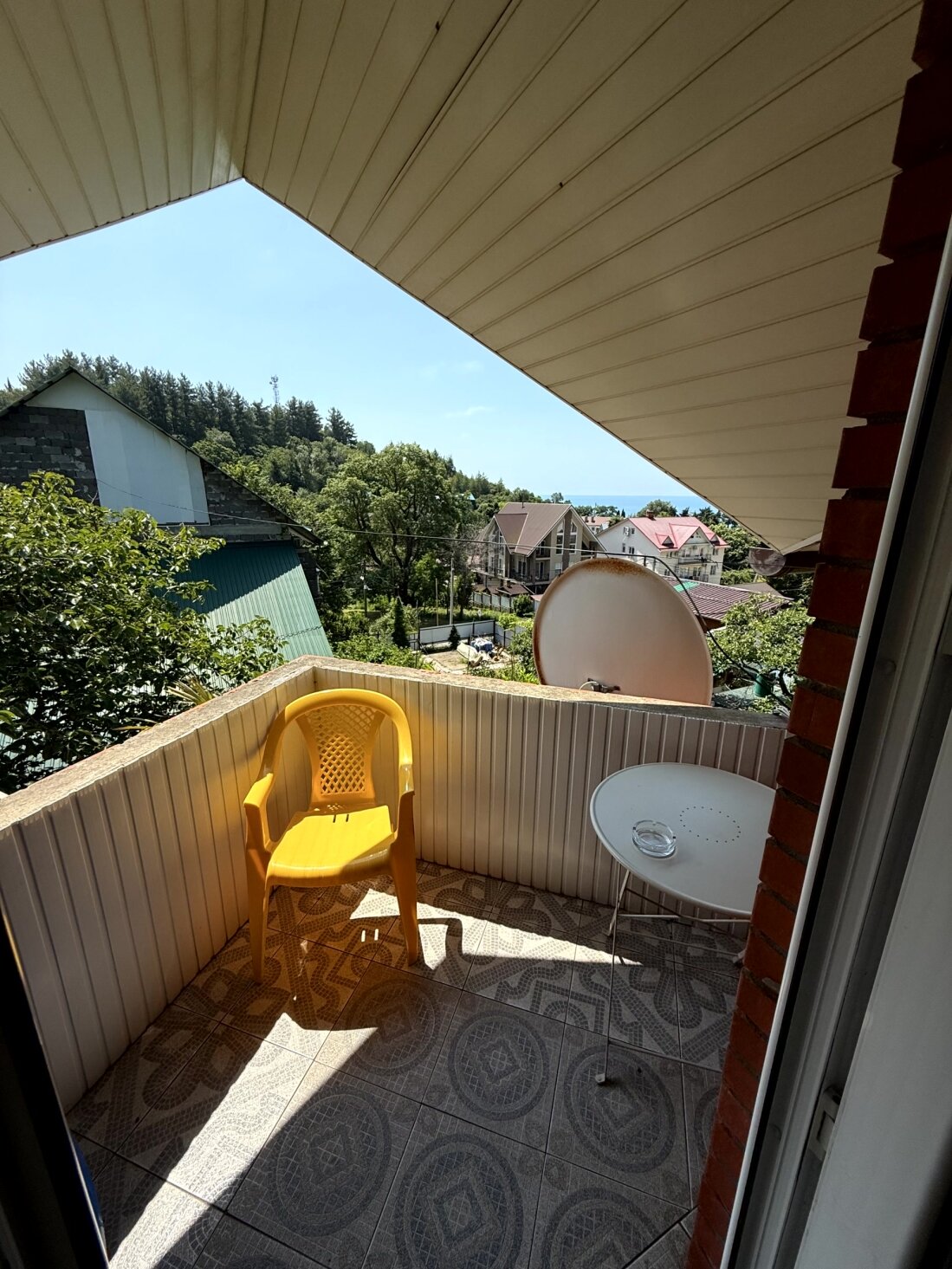 Фото Золотая рыбка